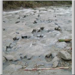 100_0648 (2009-27-07)m.JPG